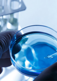Close-up of a lab test